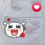 Bán đất Đạ Ròn Đơn Dương 198m2 thổ cư 850 triệu - Ảnh thu nhỏ 2