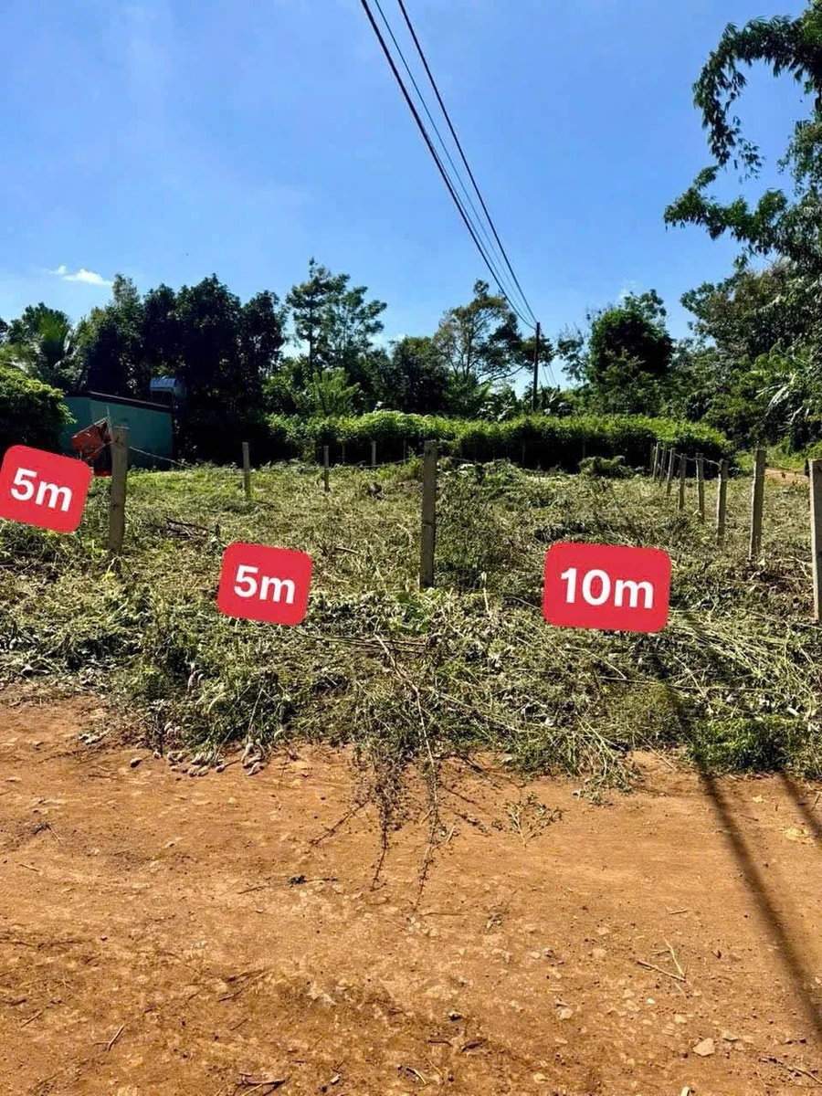 Bán đất nền Tara 120m² gần sân bay Buôn Mê Thuột 479 triệu - Ảnh thu nhỏ 4