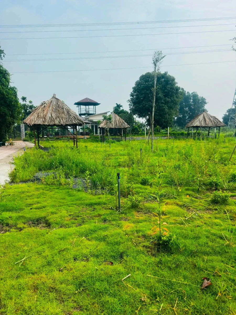 Bán đất 80m2 Tân Triều 900 triệu - Ảnh thu nhỏ 2