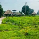 Bán đất 80m2 Tân Triều 900 triệu - Ảnh thu nhỏ 2