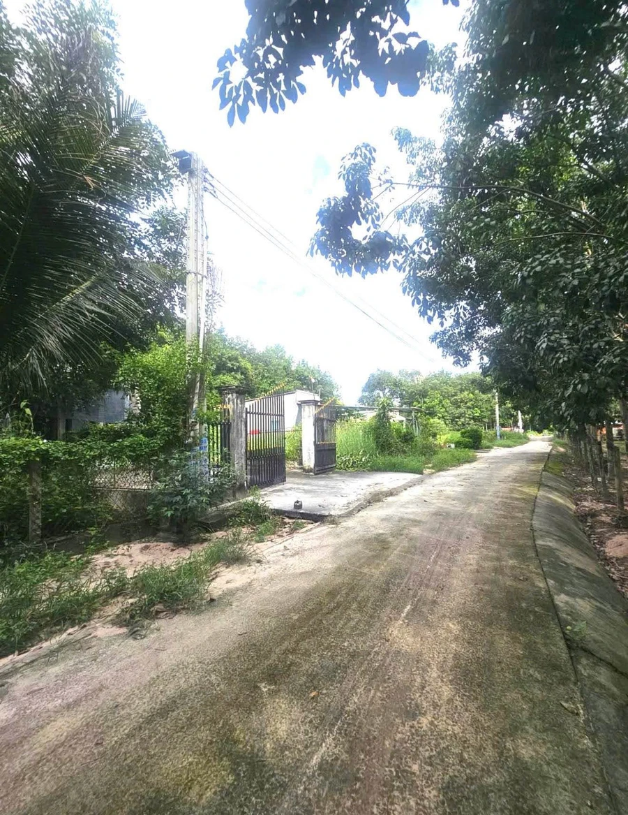 Bán đất Long Nguyên 11.000m2, mặt tiền 29m, 6 tỷ - Ảnh 1