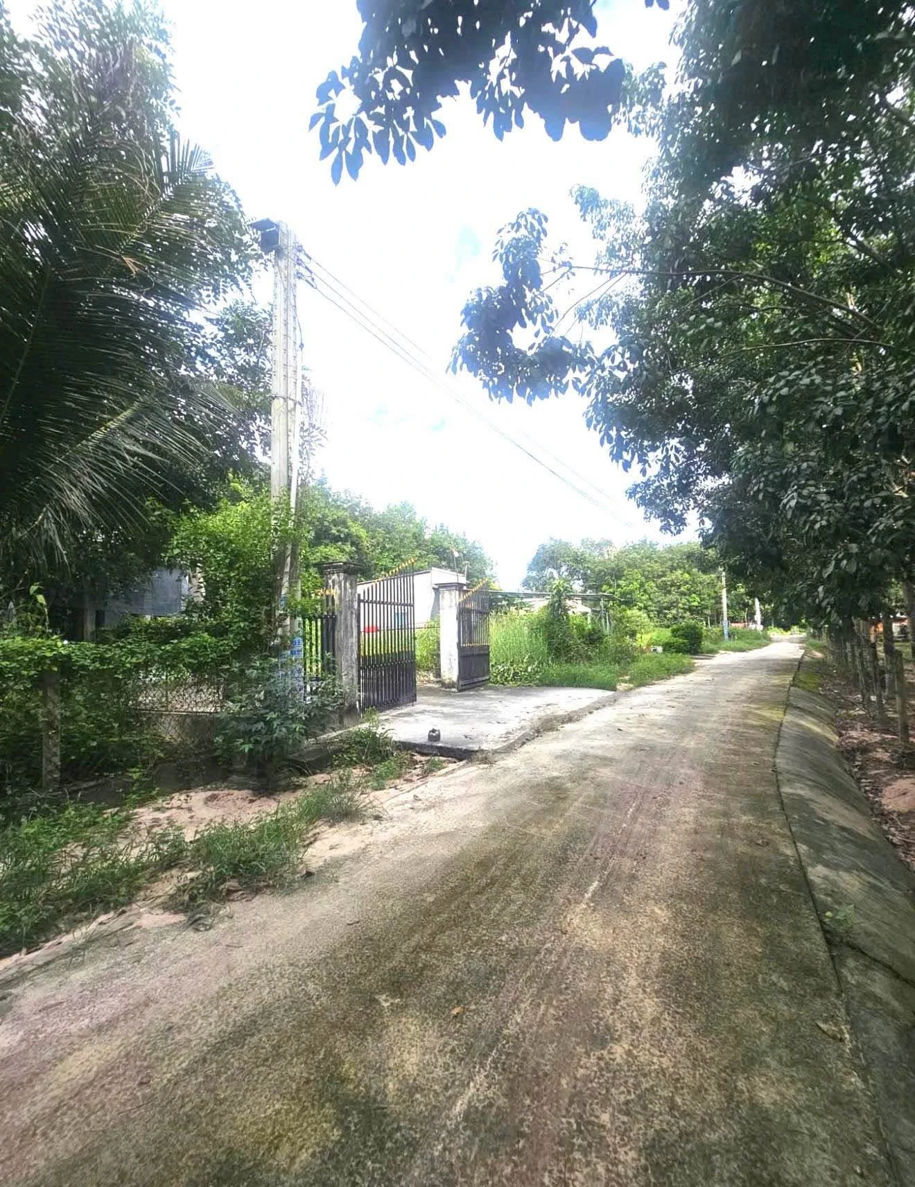 Bán đất Long Nguyên 11.000m2, mặt tiền 29m, 6 tỷ - Ảnh 1