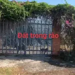 Đất bán 1440m² hai mặt tiền Trảng Bàng Tây Ninh 3.5 tỷ - Ảnh thu nhỏ 1