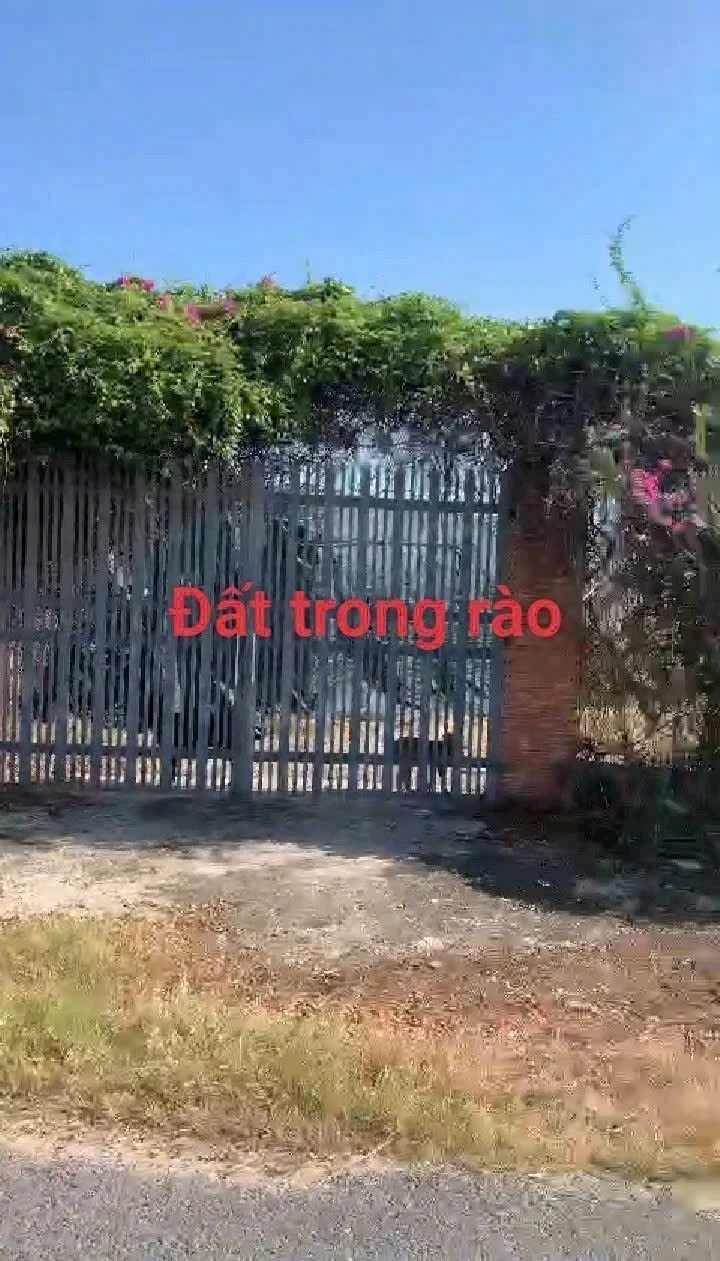 Đất bán 1440m² hai mặt tiền Trảng Bàng Tây Ninh 3.5 tỷ - Ảnh 1