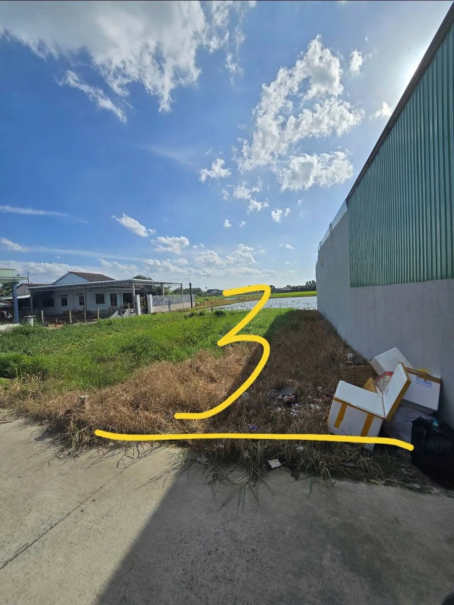 Bán đất thổ cư Phước Lợi 100m2 giá 800 triệu - Ảnh 1