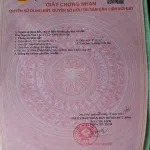 Bán đất tại đường 823D, xã Hoà Khánh Đông, 2,65 tỷ, 85m2 lô góc mặt tiền đường 40m, 3 mét bên hông - Ảnh thu nhỏ 13