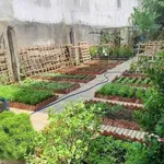 Nhà đẹp hiện đại 4.1x45m, 3PN, 2WC, Phú Thọ, Bình Chánh - Ảnh thu nhỏ 5