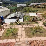 Bán biệt thự mặt tiền 554m2 đường Măng Lin, Đà Lạt - Ảnh thu nhỏ 5