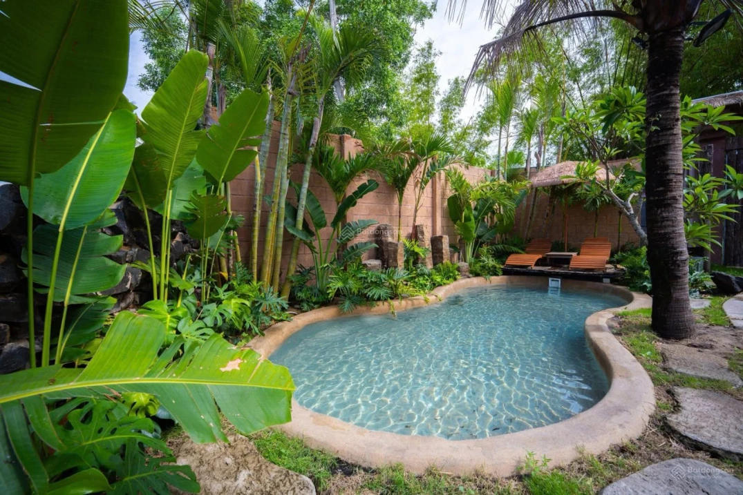 Homestay nhà vườn xinh xắn không gian sống yên bình giữa đồng quê Tuy An - Ảnh 1
