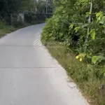 Siêu phẩm 3000m2 xe hơi vào nhà, Tỉnh Trà Vinh ngay Quốc lộ 53, Xã Phương Thạnh chỉ 7 tỷ - Ảnh thu nhỏ 3