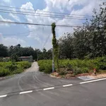 Bán mặt tiền Tân Bình 260m² lên betong giá 1 tỷ 3 - Ảnh thu nhỏ 1