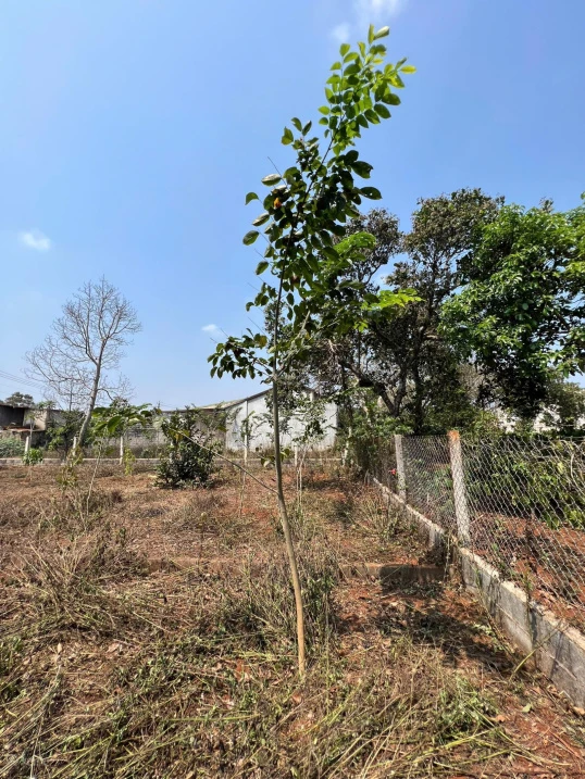 Bán đất tại xã Ea Tu, 4,5 tỷ, 625m2, giá ưu đãi - Ảnh thu nhỏ 2