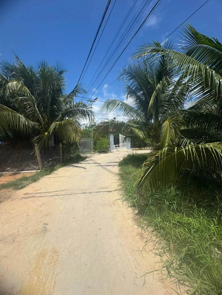 Bán đất full thổ cư 173.3m² Ninh Hòa, Khánh Hòa 499 triệu - Ảnh 1