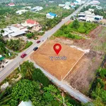 Bán đất mặt tiền ĐT.816 142,9m² Thạnh Hoà Bến Lức Long An 1,35 tỷ - Ảnh thu nhỏ 2