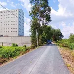Bán 506m² đất vườn mặt tiền kênh Thạnh Lợi, Bến Lức, Long An - Ảnh thu nhỏ 2