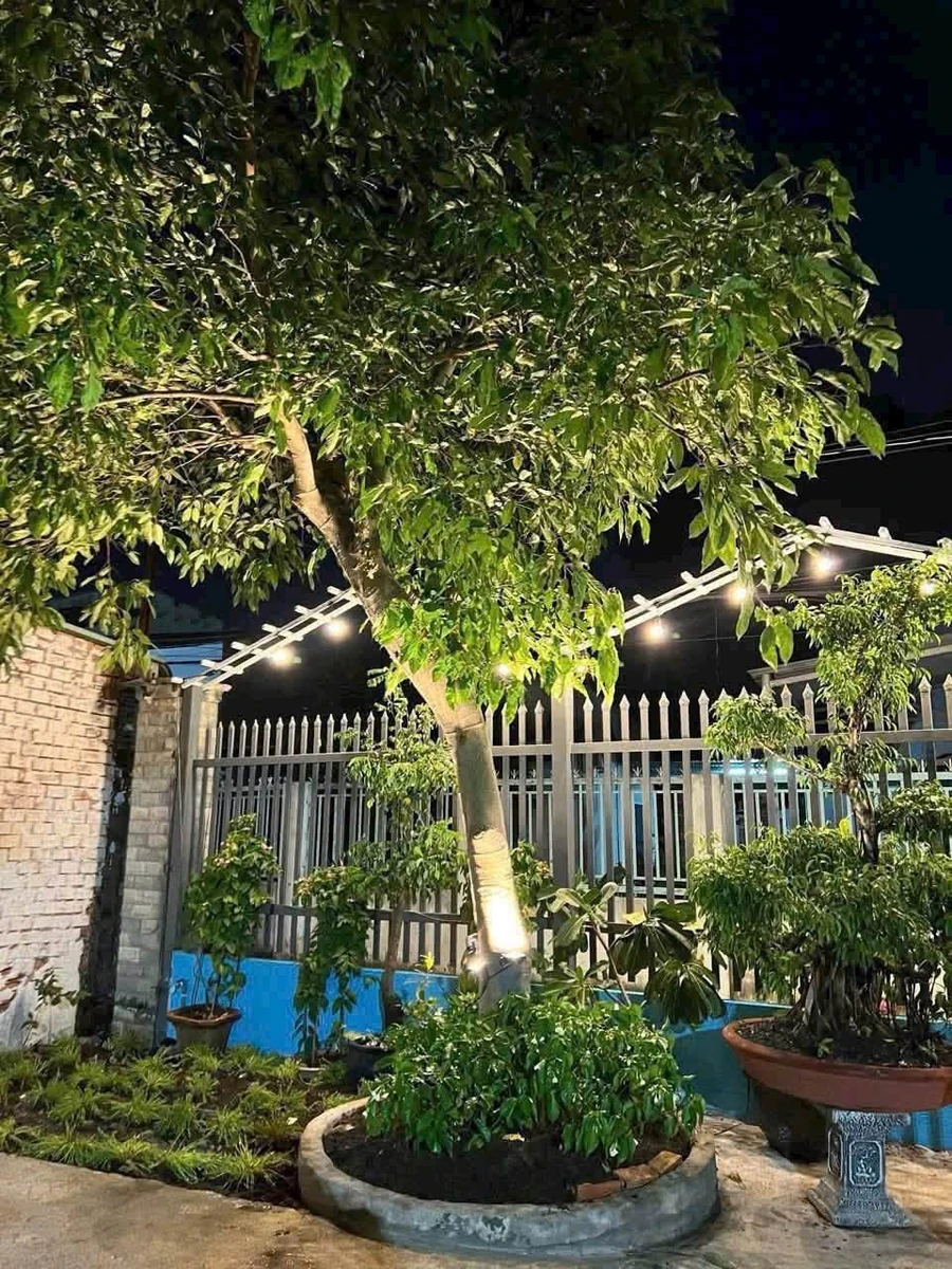 Bán gấp đất biệt thự 380m² Hiệp Hòa Đồng Nai 6.9 tỷ - Ảnh thu nhỏ 5
