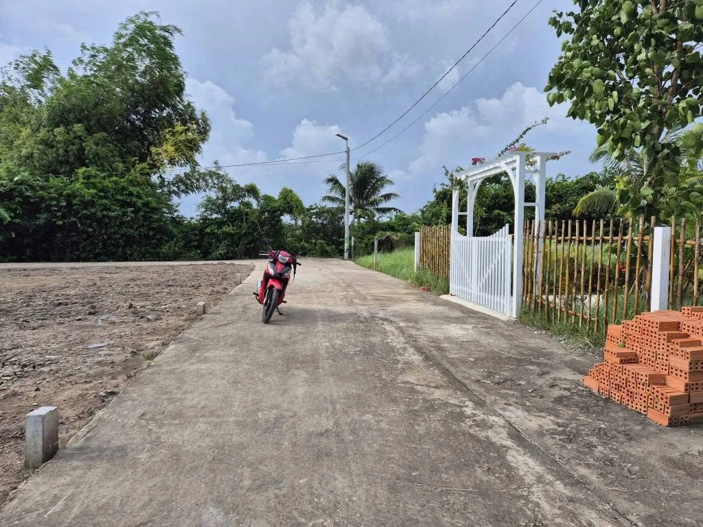 Bán đất thổ 135m² Xã Tân Lân, Cần Đước, Long An - Ảnh thu nhỏ 2