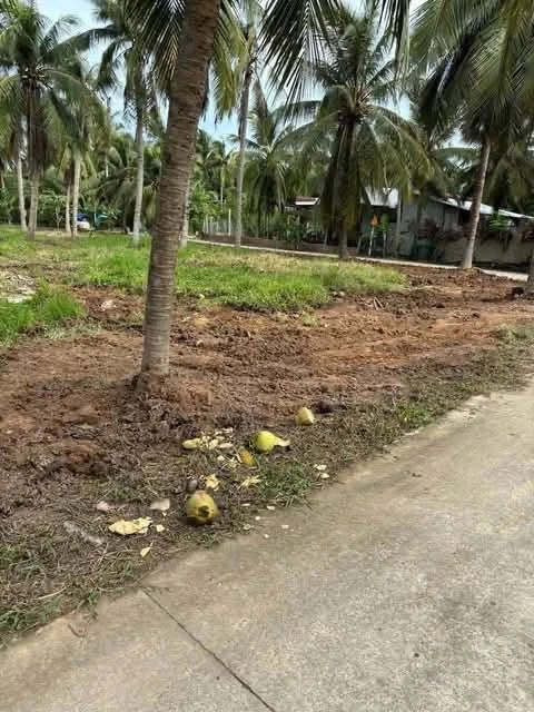 Bán đất lô góc 643m² 2 mặt tiền Phước Hiệp - Ảnh thu nhỏ 3