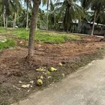 Bán đất lô góc 643m² 2 mặt tiền Phước Hiệp - Ảnh thu nhỏ 3