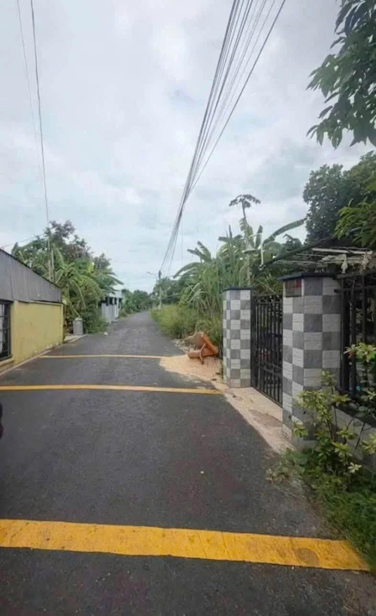Bán lô đất thổ cư giá 1 tỷ 275 triệu tại Phú An, Bình Dương cũ - Ảnh thu nhỏ 3