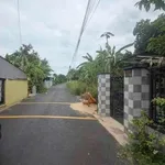 Bán lô đất thổ cư giá 1 tỷ 275 triệu tại Phú An, Bình Dương cũ - Ảnh thu nhỏ 3