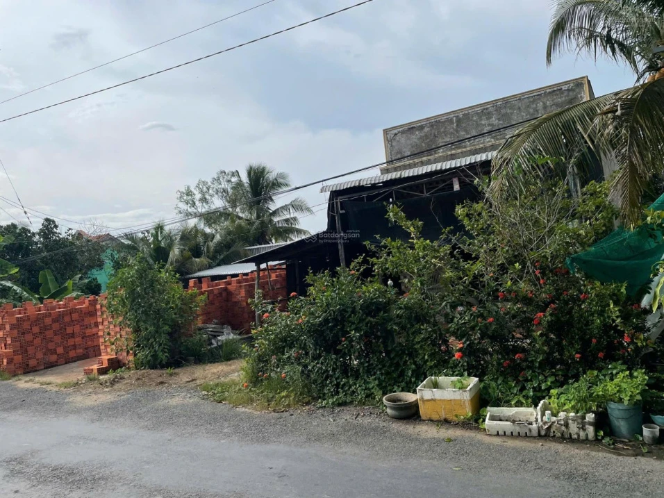 Đất mặt tiền kinh doanh gần Chợ Tân Nghĩa, Cao Lãnh Đồng Tháp, 243 m2 thổ cư giá 1,2 tỷ sổ mới - Ảnh thu nhỏ 2