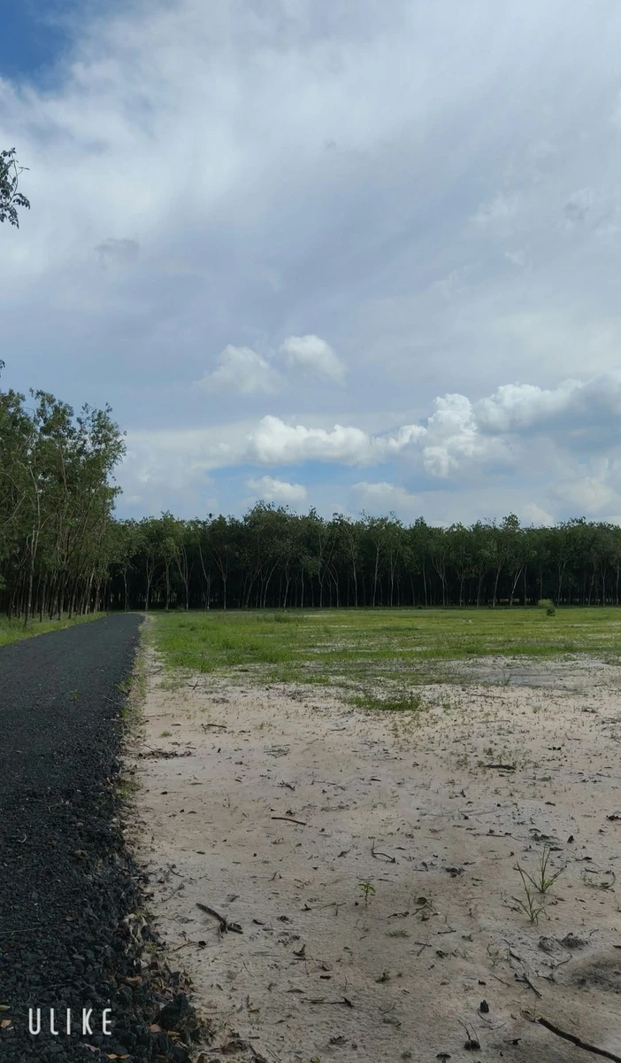 Bán đất vườn 1000m² Phường Bình Minh Tây Ninh 269 triệu - Ảnh thu nhỏ 3