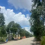 Bán 300m2 đất thổ cư đường N9 KCN Mỹ Phước 4, gần QL13, Bình Dương, giá 3 tỷ - Ảnh thu nhỏ 1
