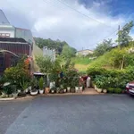 Bán lô đất liền kề An Sơn 132m² Đà Lạt 7 tỷ - Ảnh thu nhỏ 1