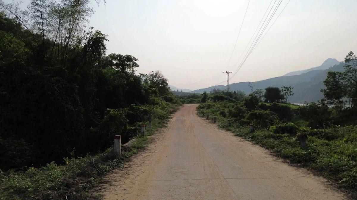 Bán 7.5 hecta đất rừng sản xuất view sông, Đà Nẵng - Ảnh thu nhỏ 2