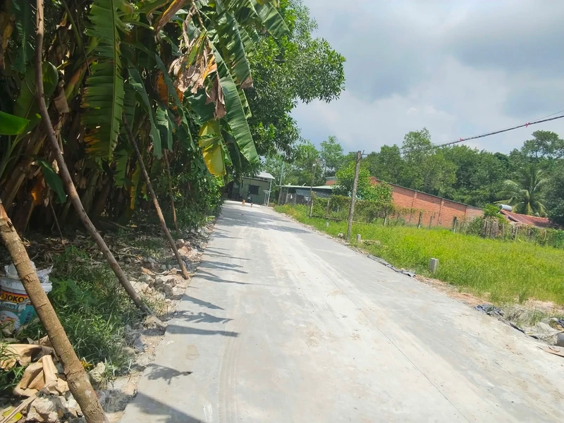 Bán đất Thanh Hoà Thanh Điền 186m² - 790 triệu