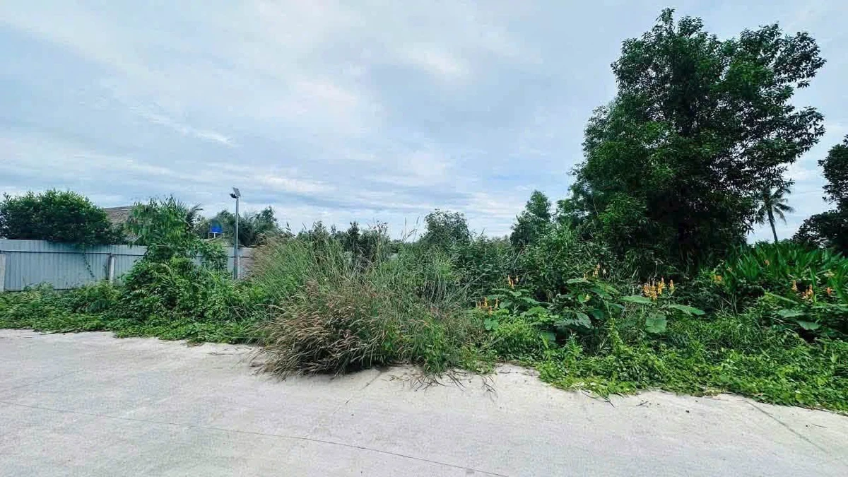 Bán đất lúa 1250m² Đức Hoà Tây Ninh 5 tỷ - Ảnh thu nhỏ 2