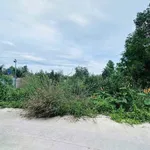 Bán đất lúa 1250m² Đức Hoà Tây Ninh 5 tỷ - Ảnh thu nhỏ 2