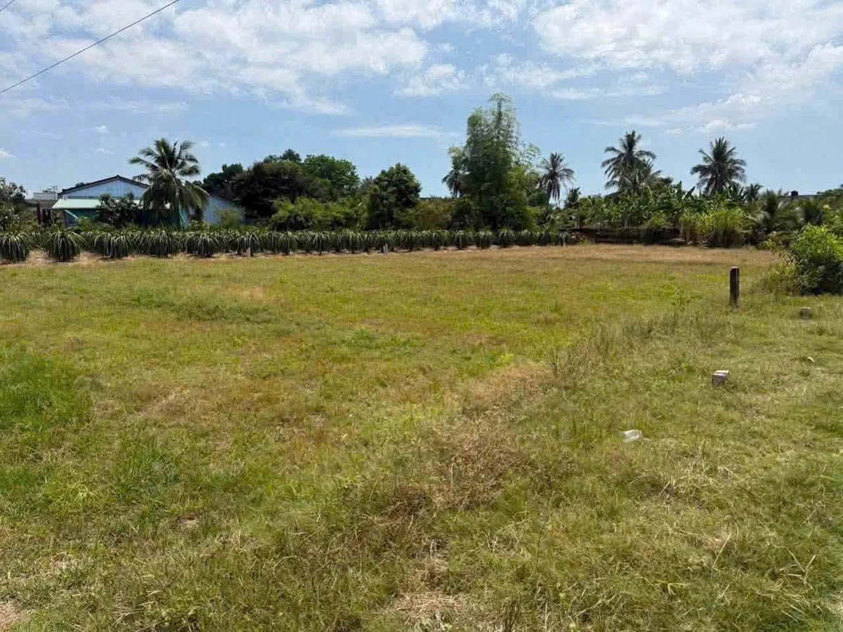 Bán đất thổ cư 160m² đường Đan, Tây Ninh, giá 330 triệu - Ảnh thu nhỏ 3