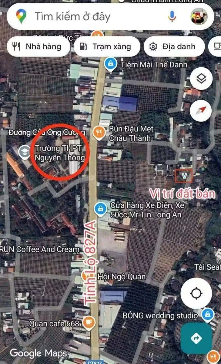 Bán đất thổ cư 110m² Tầm Vu, Châu Thành, Long An 495 triệu - Ảnh thu nhỏ 5