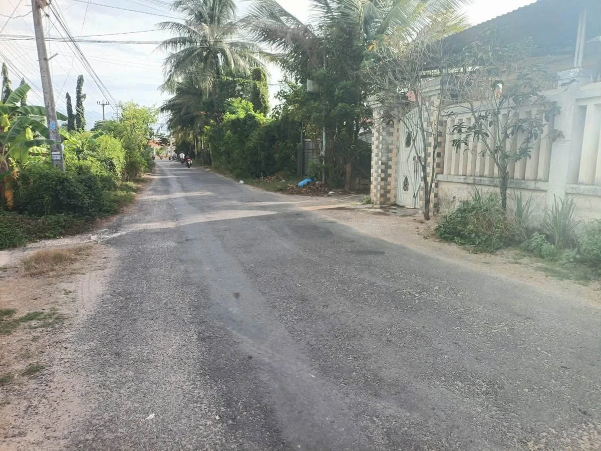 Bán đất mặt tiền Liên xã Diên Bình 110m² giá 980 triệu - Ảnh thu nhỏ 2