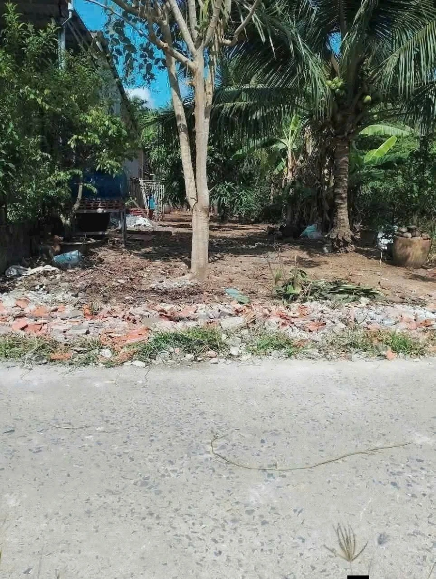 Bán đất 159m² Phú Hưng Bến Tre giá 480 triệu - Ảnh 1