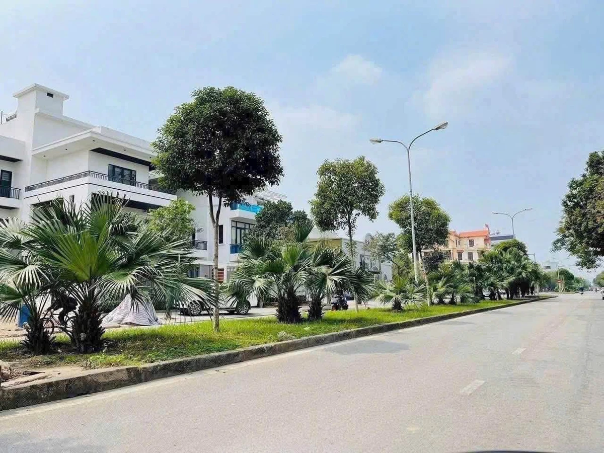 Bán đất biệt thự 250m² mặt tiền Phạm Văn Đồng, Hải Dương - Ảnh 1