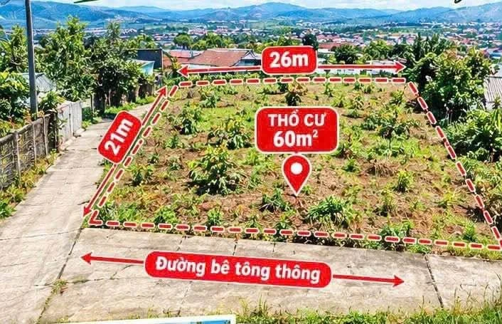 Bán lô đất 2 mặt tiền Buôn Komleo 509 m² Tân Lập - Ảnh 1