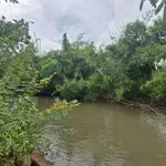 Bán đất 256m² mặt tiền 14,5m view núi 830 triệu Long Khánh - Ảnh thu nhỏ 3