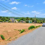 Bán đất sào 1000m2 sổ riêng tại Lộc Ninh, Bình Phước, giá dưới 200 triệu - Ảnh thu nhỏ 3