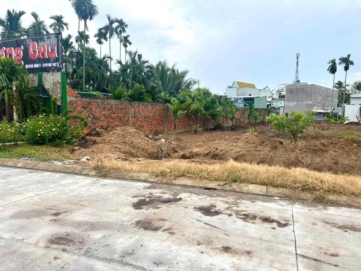 Bán nền liền kề 190m² sau chợ Đức Hoà, 1 tỷ 250 triệu - Ảnh 1