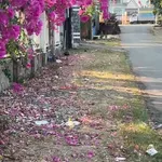 Bán lô đất mặt tiền 1.200m2 Xuân Lộc, Đồng Nai - 9,5 tỷ - Ảnh thu nhỏ 1