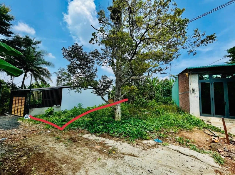 Nhà bán 4x15m, 4 PN, 5 WC, 60 m2, Dương Quảng Hàm - 10 tỷ TL 10x100m
