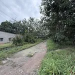 Bán đất 4.824m2 có 4.000m2 đất SKC ngành gỗ gần ĐT744, Dầu Tiếng - Ảnh thu nhỏ 1