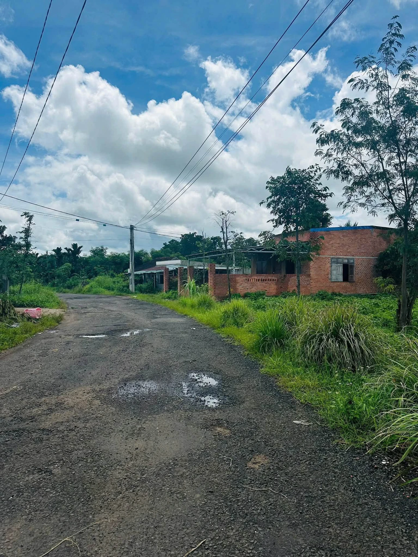 Bán lô đất 220 m² Buôn Đôn, Đắk Nông, 26 triệu/m² - Ảnh 1