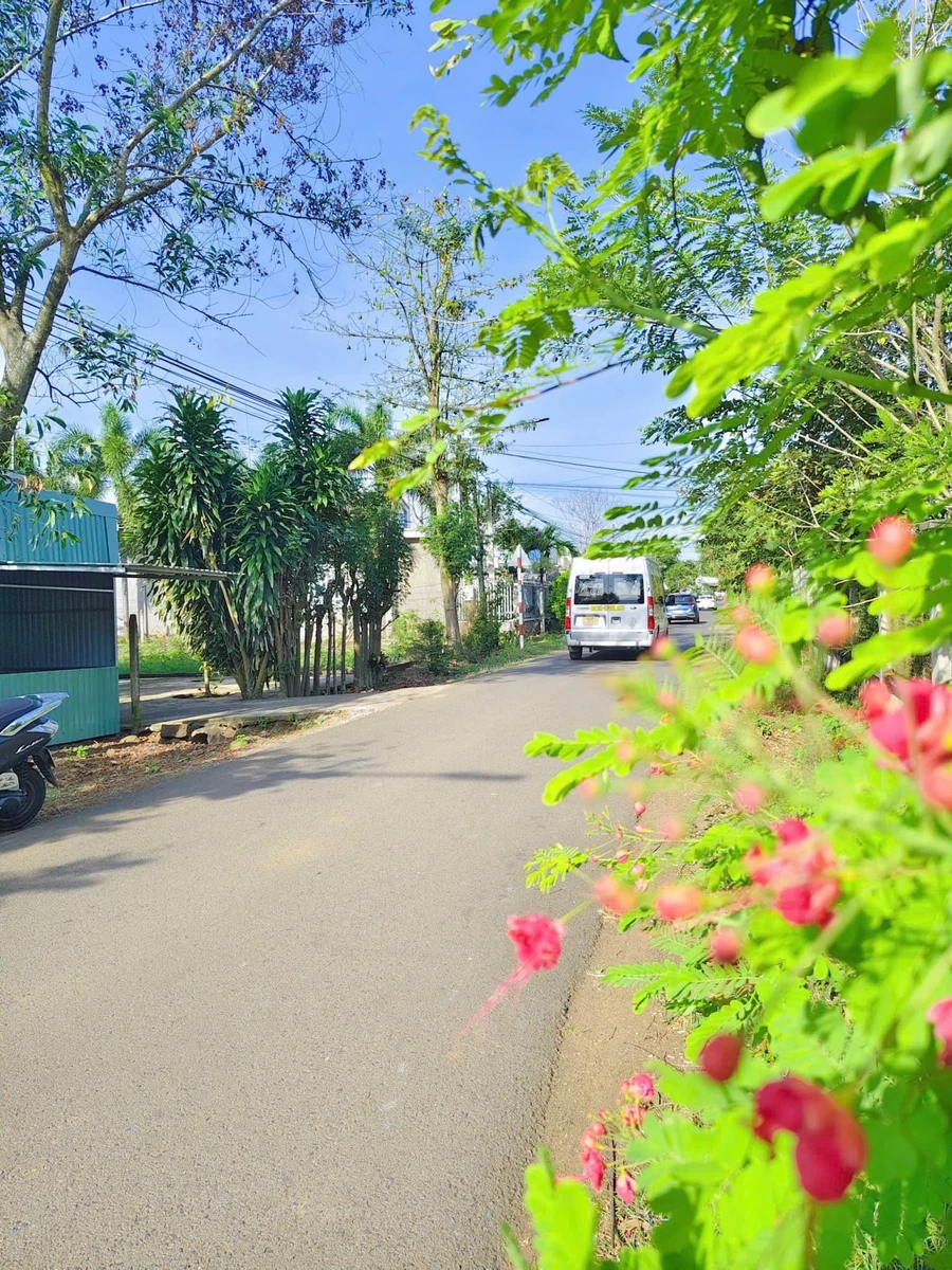 Bán đất vườn 1000m2, mặt tiền 37m, Long Khánh - Ảnh thu nhỏ 2