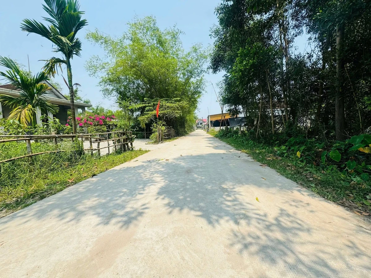 Bán đất Phú Hồ 100m² đối lưng Tỉnh Lộ 10 giá 495 triệu - Ảnh thu nhỏ 4