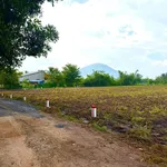 Bán đất thổ cư 5x112m (560m²) Tây Ninh - Sổ sẵn 280 triệu - Ảnh thu nhỏ 1