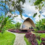 Sang nhượng khu nghỉ dưỡng 13.000m² bên suối 13,5 tỷ - Ảnh thu nhỏ 5